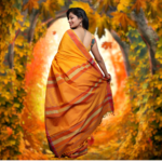 Maheshwari silk sarees